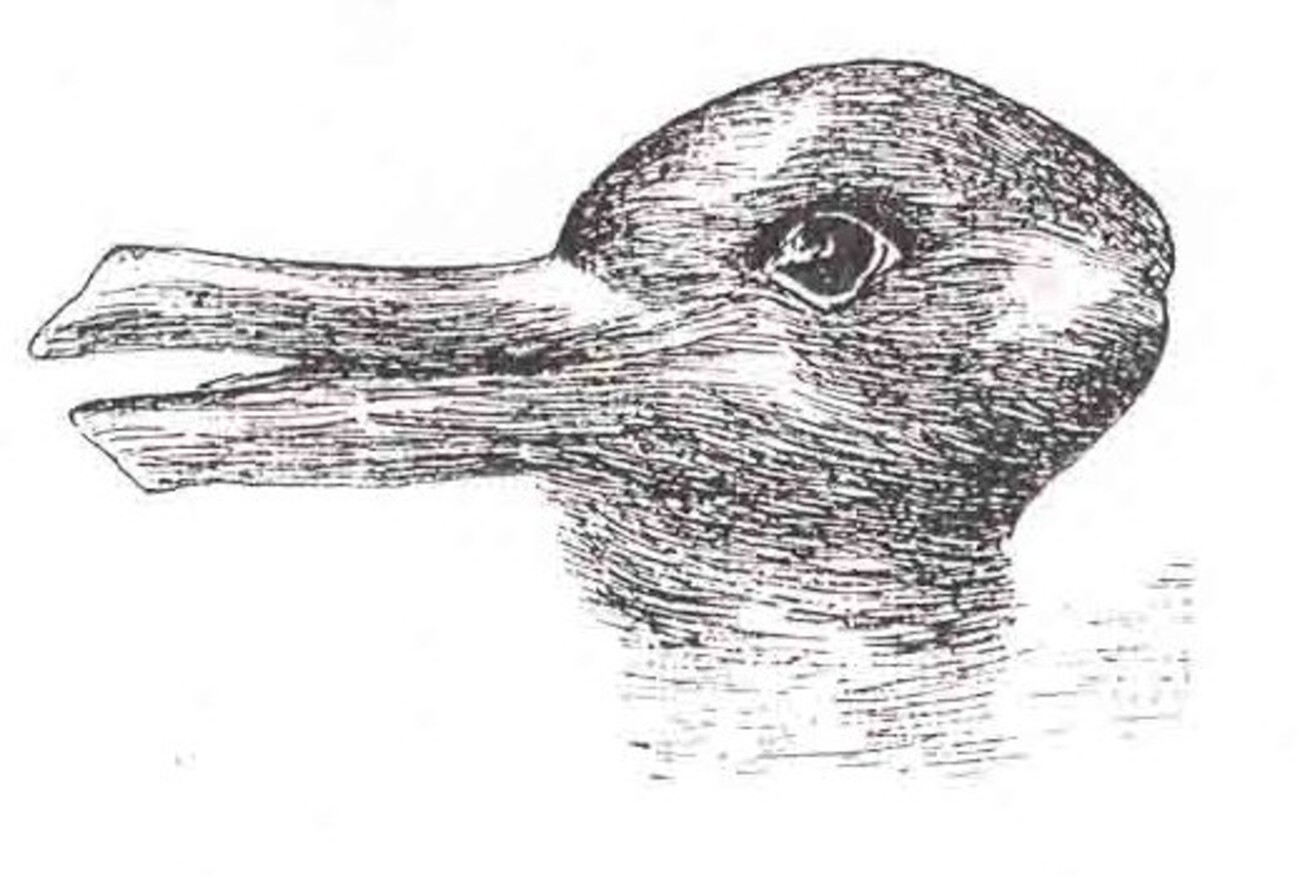Hase oder Ente? Fliegende Blätter, 1892, gemeinfrei