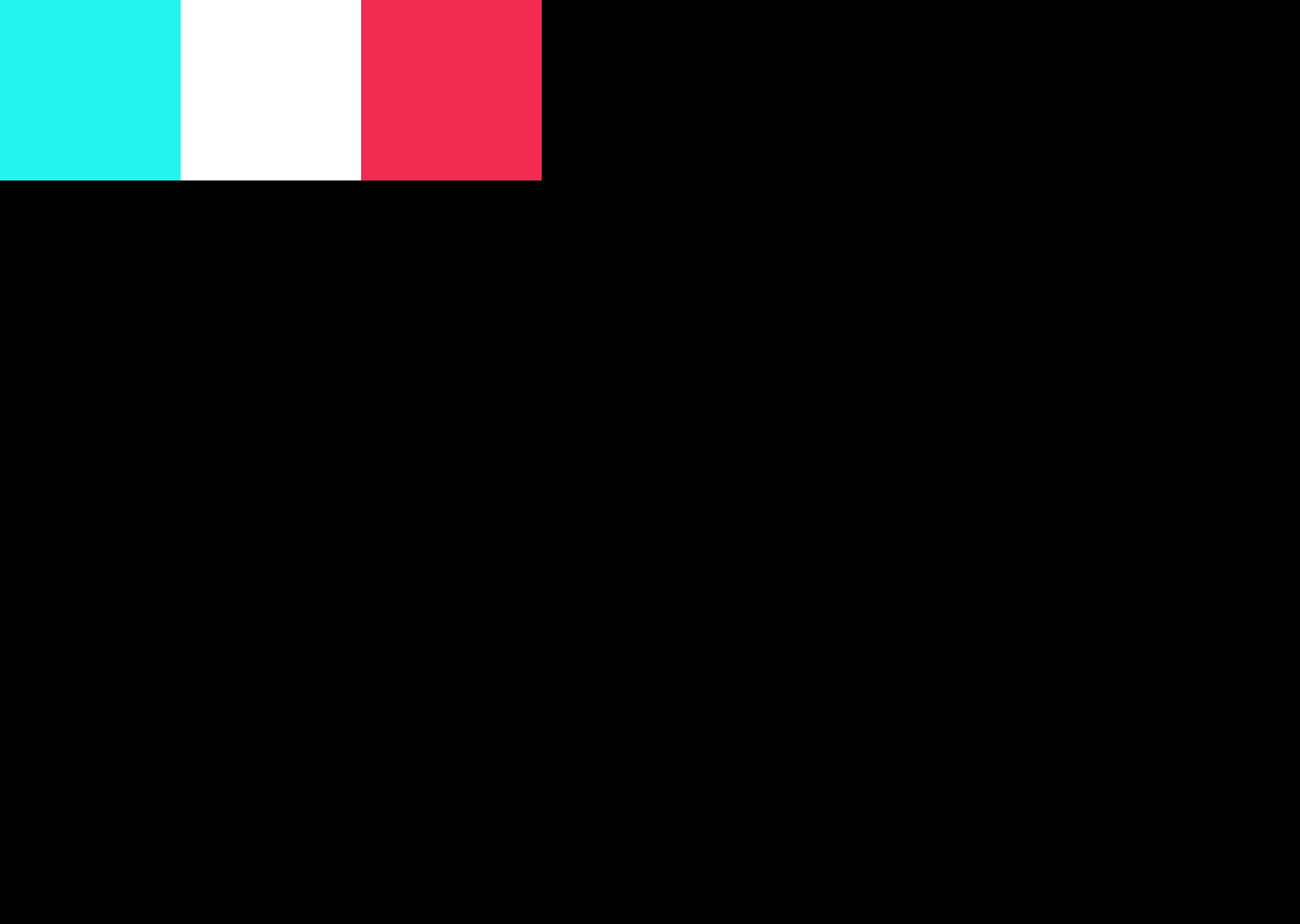 ./images/farbe/corporate-color-tiktok.png